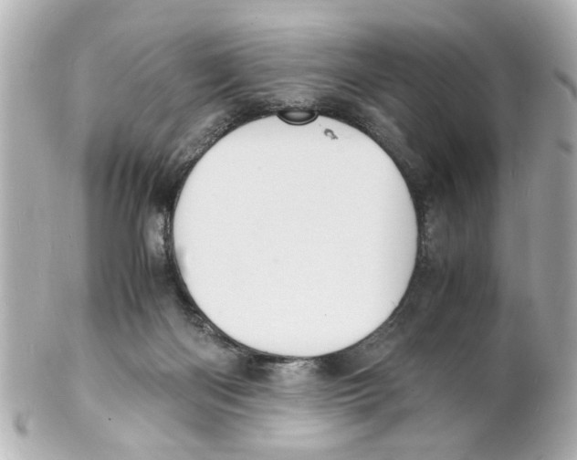 X0000101480122200808041137