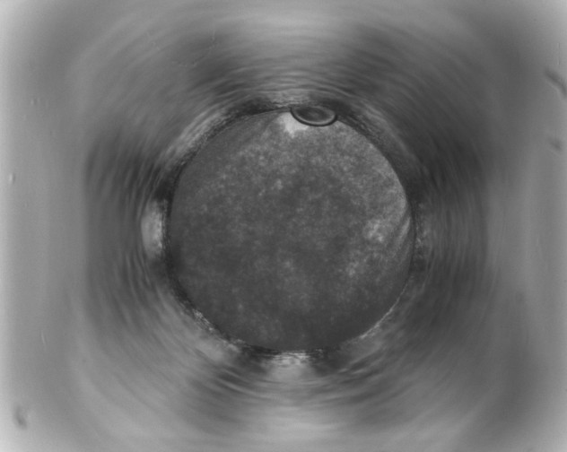 X0000101480124200808041137