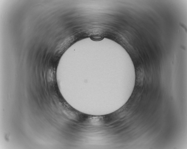 X0000101480126200808041137