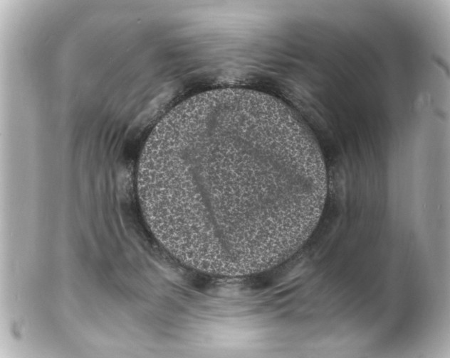 X0000101480127200808041137