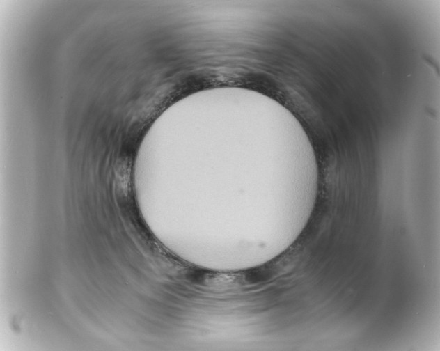 X0000101480129200808041137