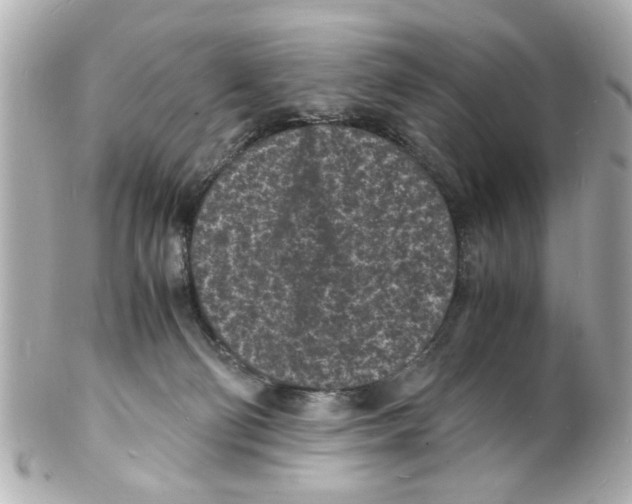 X0000101480130200808041137