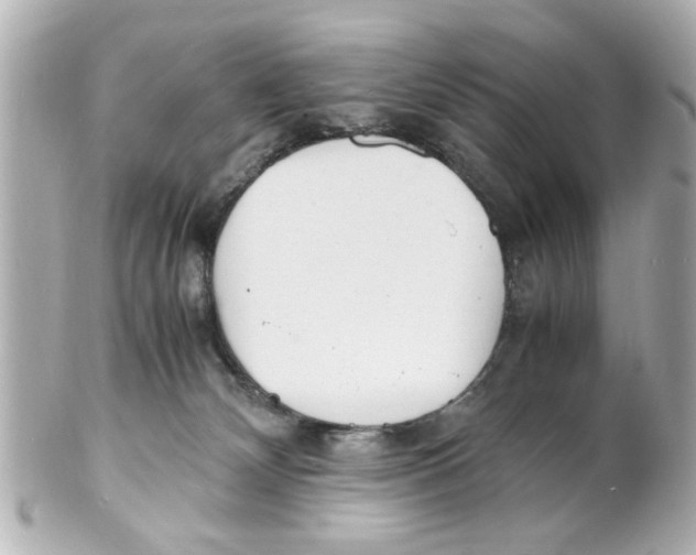 X0000101480132200808041137