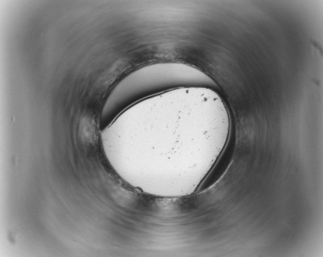 X0000101480136200808041137