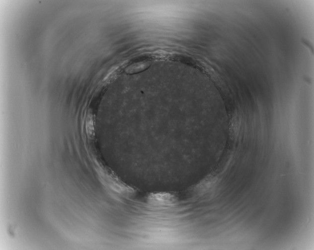 X0000101480137200808041137