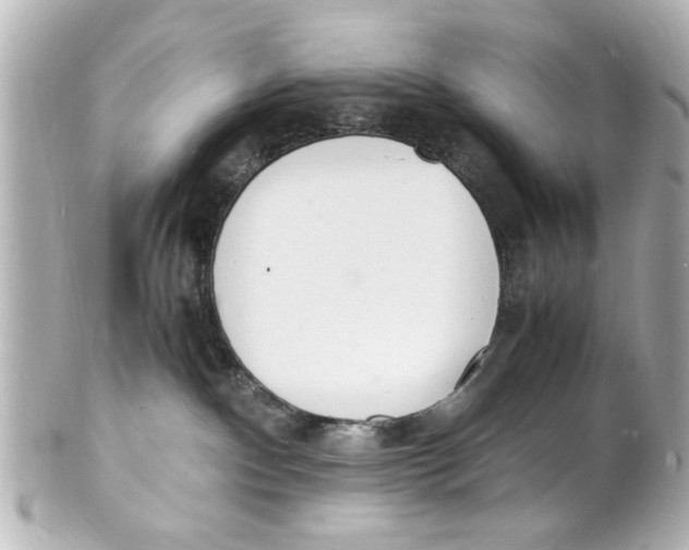 X0000101480140200808041137