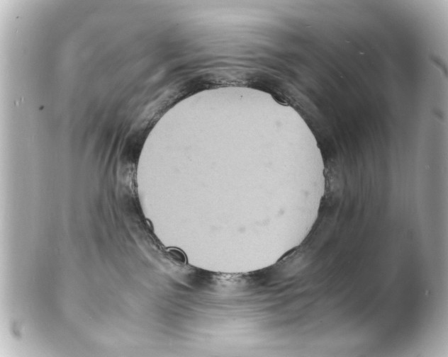 X0000101480141200808041137