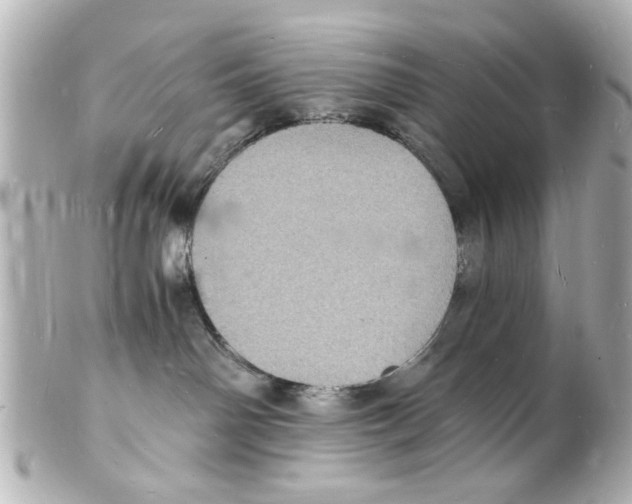 X0000101480142200808041137