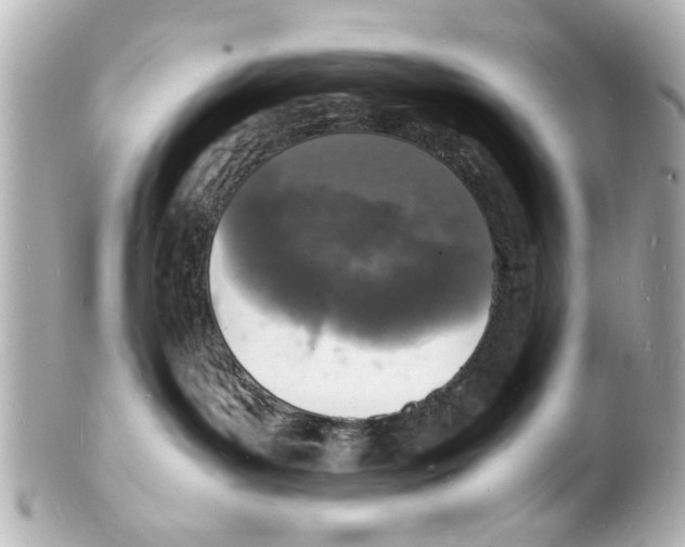 X0000101480143200808041137