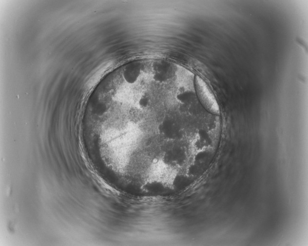 X0000101480145200808041136