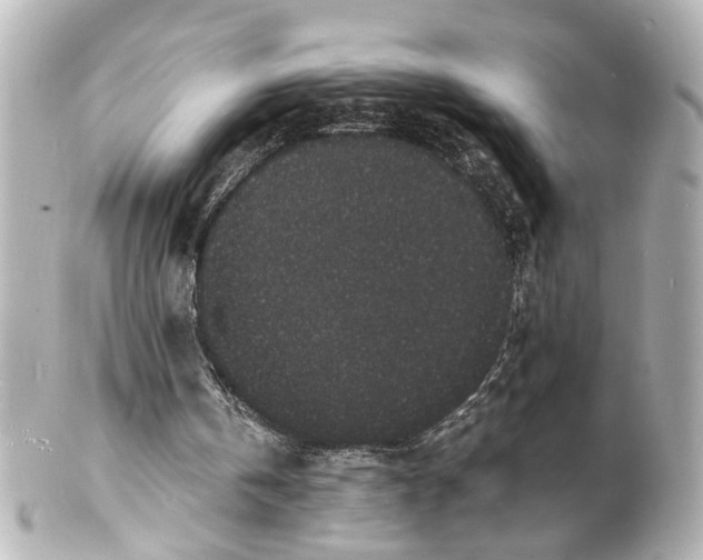 X0000101480146200808041136