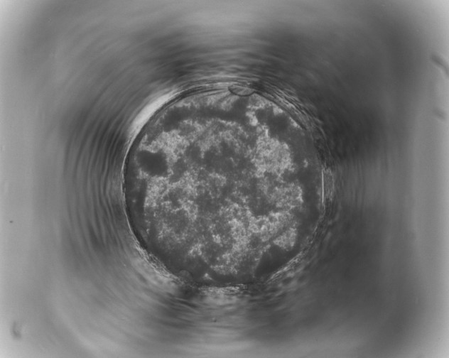 X0000101480147200808041136