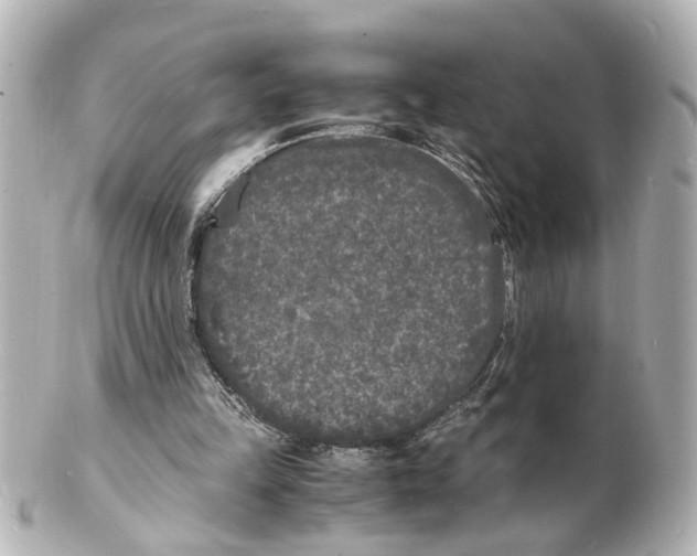 X0000101480149200808041136