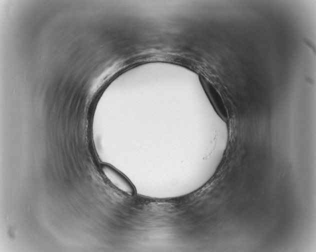 X0000101480150200808041136