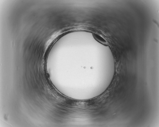 X0000101480152200808041136