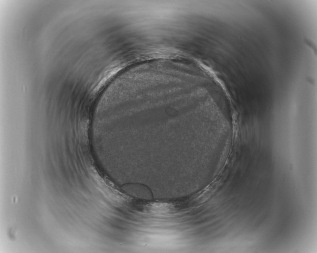 X0000101480154200808041136