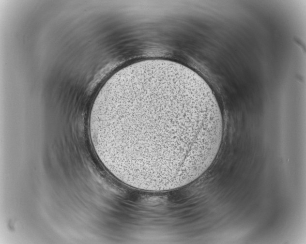 X0000101480155200808041136