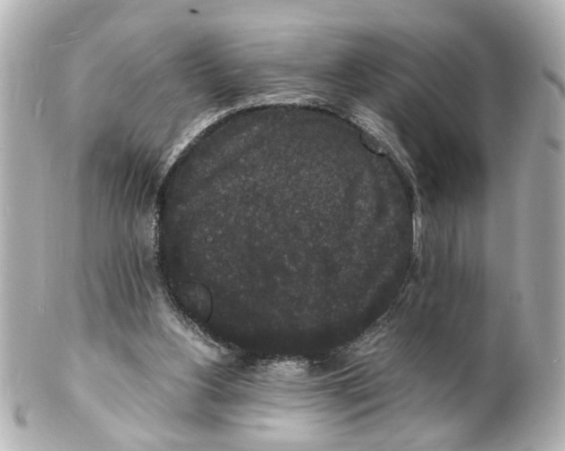 X0000101480156200808041136