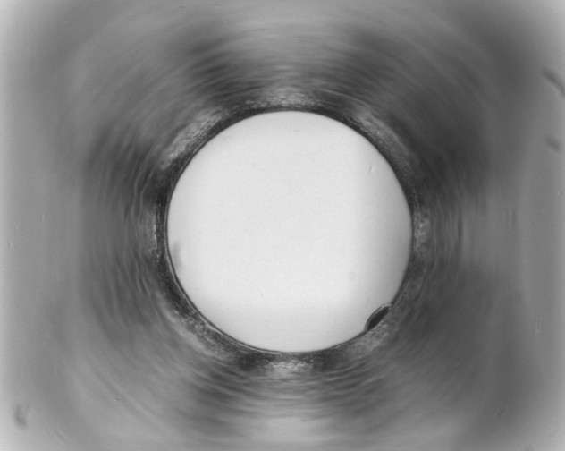 X0000101480158200808041136