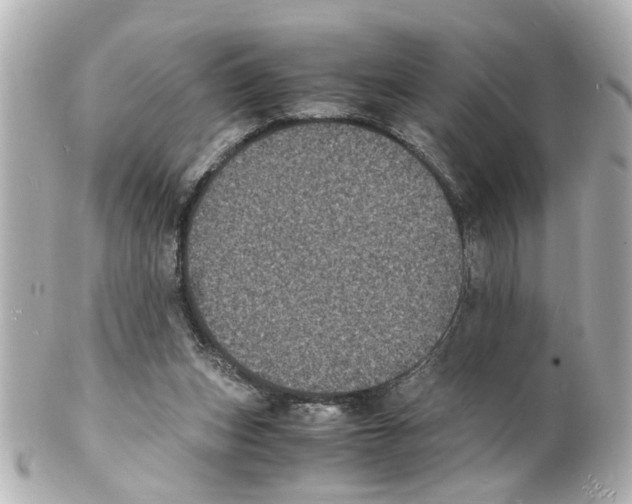 X0000101480159200808041136