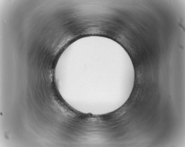 X0000101480160200808041136