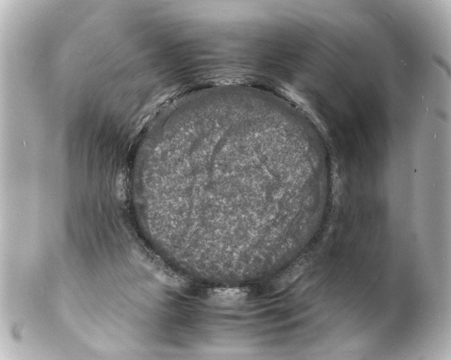 X0000101480161200808041136