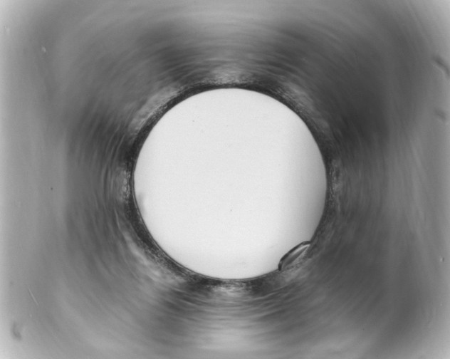 X0000101480164200808041136