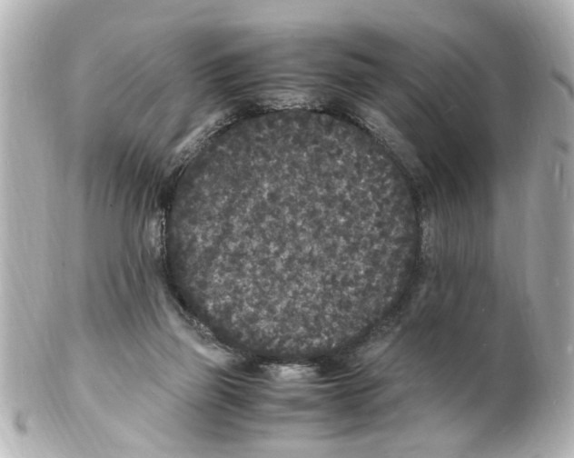 X0000101480165200808041136