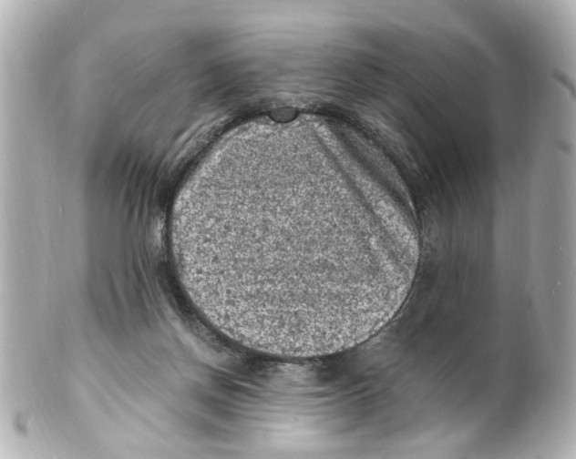 X0000101480166200808041136