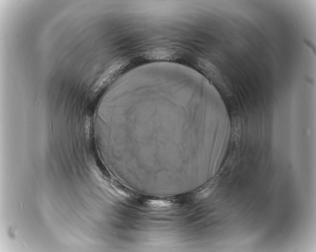 X0000101480167200808041136