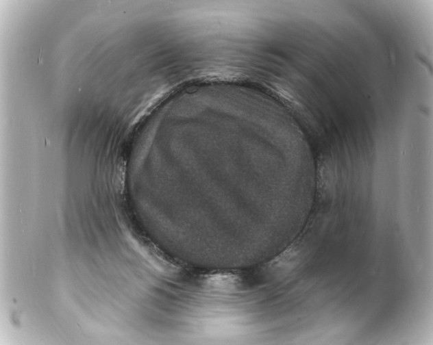 X0000101480168200808041136