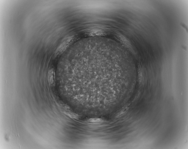 X0000101480169200808041136