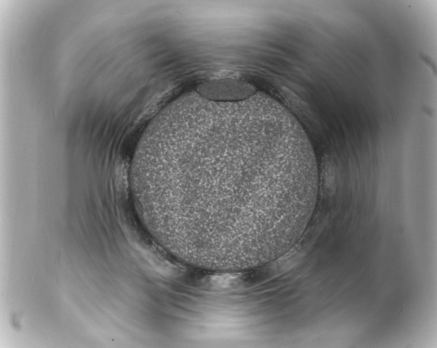 X0000101480172200808041136