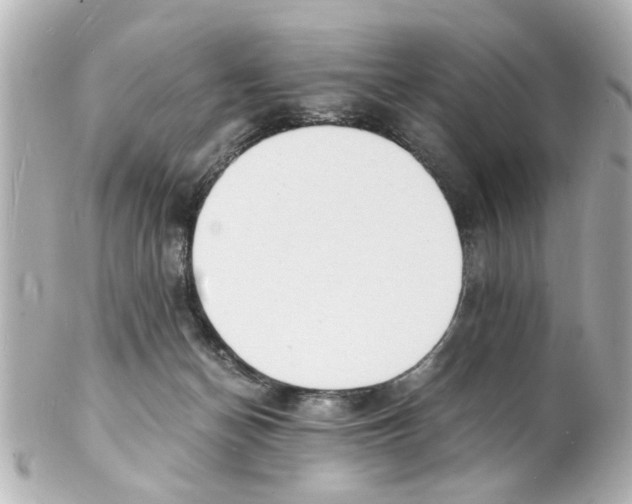 X0000101480174200808041136