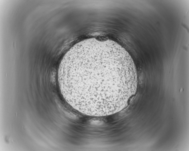 X0000101480175200808041136