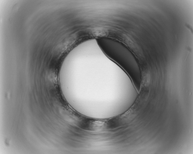 X0000101480176200808041136