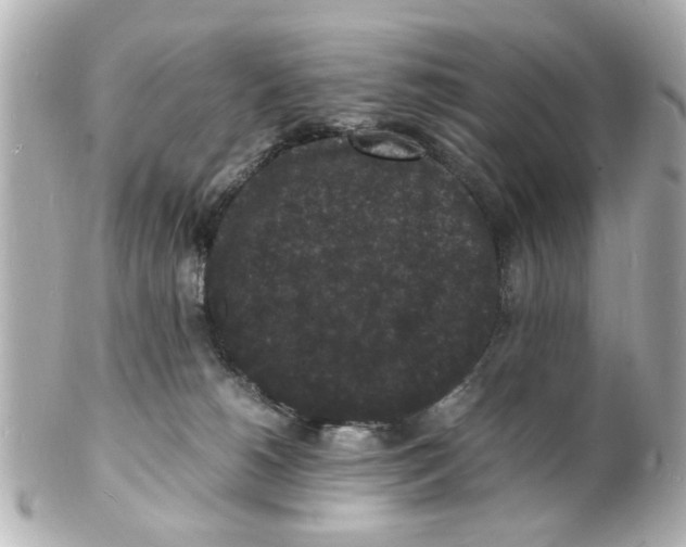 X0000101480180200808041136