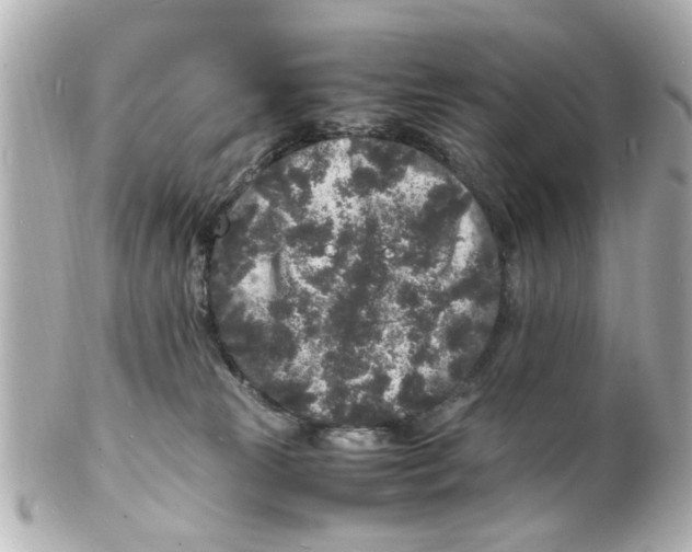 X0000101480181200808041136