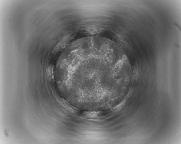 X0000101480182200808041136