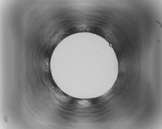 X0000101480183200808041136