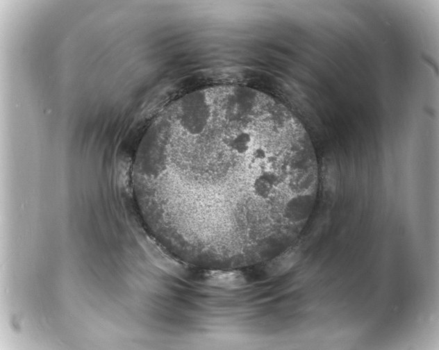 X0000101480185200808041136