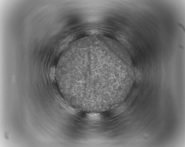 X0000101480189200808041137