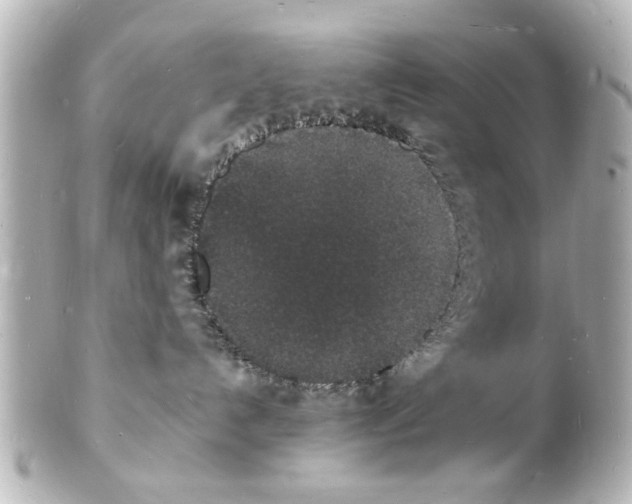 X0000101480192200808041137