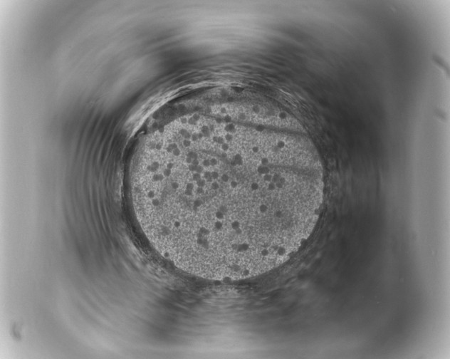 X0000101480194200808041136