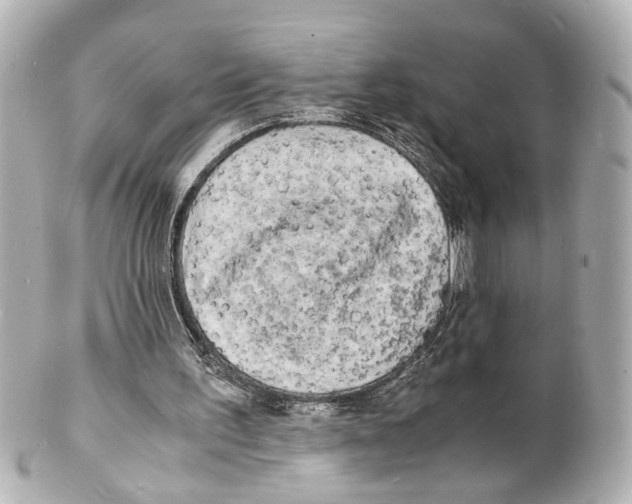 X0000101480195200808041136