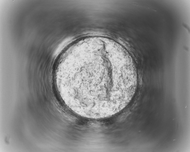 X0000101480199200808041136