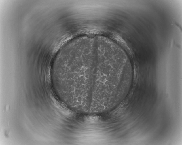 X0000101480202200808041136