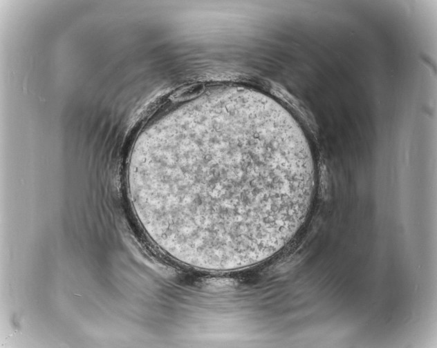 X0000101480203200808041136