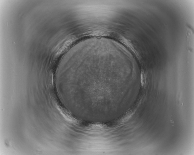 X0000101480205200808041136