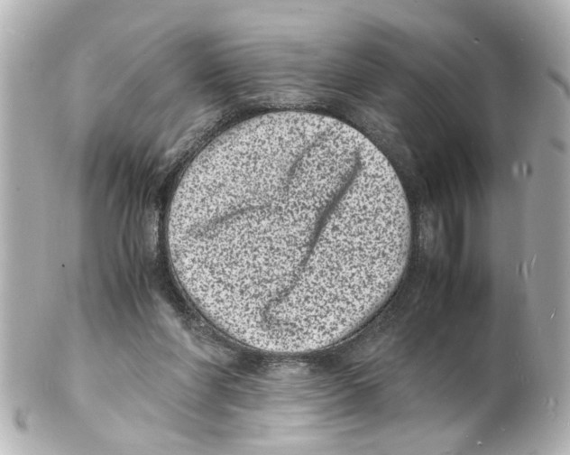 X0000101480206200808041136